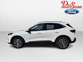 2024 Ford Escape PHEV