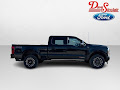 2025 Ford Super Duty F-250 SRW Platinum