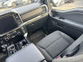 2023 Ford F-150 4WD SuperCrew 5.5' Box
