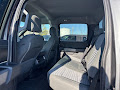 2023 Ford F-150 4WD SuperCrew 5.5' Box