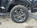 2023 Ford F-150 4WD SuperCrew 5.5' Box