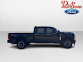 2023 Ford Super Duty F-250 SRW 4WD Platinum Crew Cab