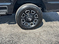 2023 Ford Super Duty F-250 SRW 4WD Platinum Crew Cab