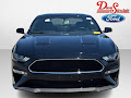2019 Ford Mustang Bullitt