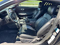 2019 Ford Mustang Bullitt