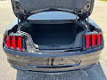 2019 Ford Mustang Bullitt